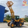 Máy xúc lật TS930GK